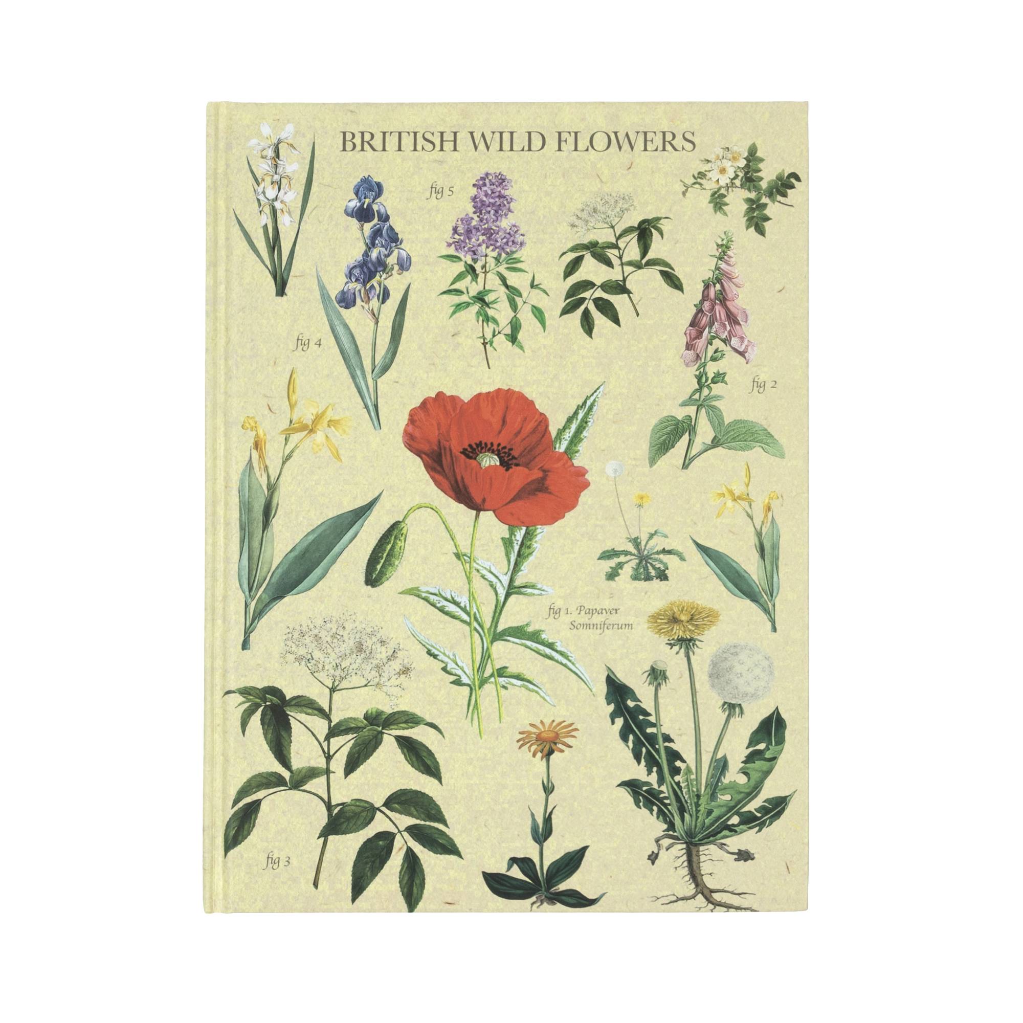 Botanical Sketchbook 80 Sheets | Hobbycraft