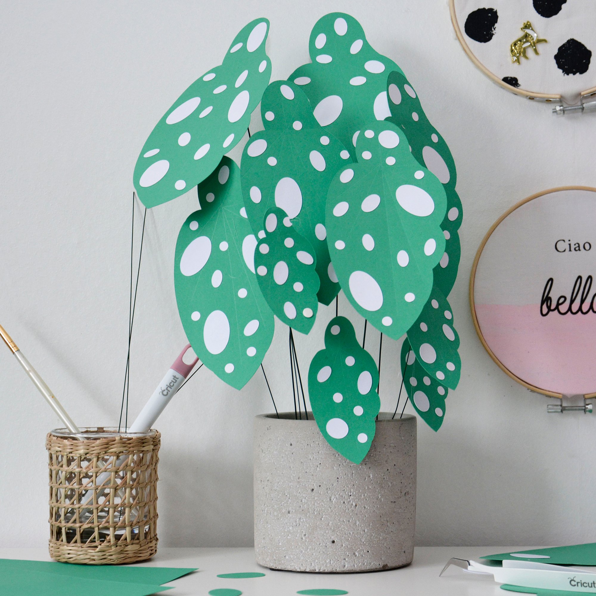 Cricut: How to Make a Paper Begonia Maculata Plant | Hobbycraft