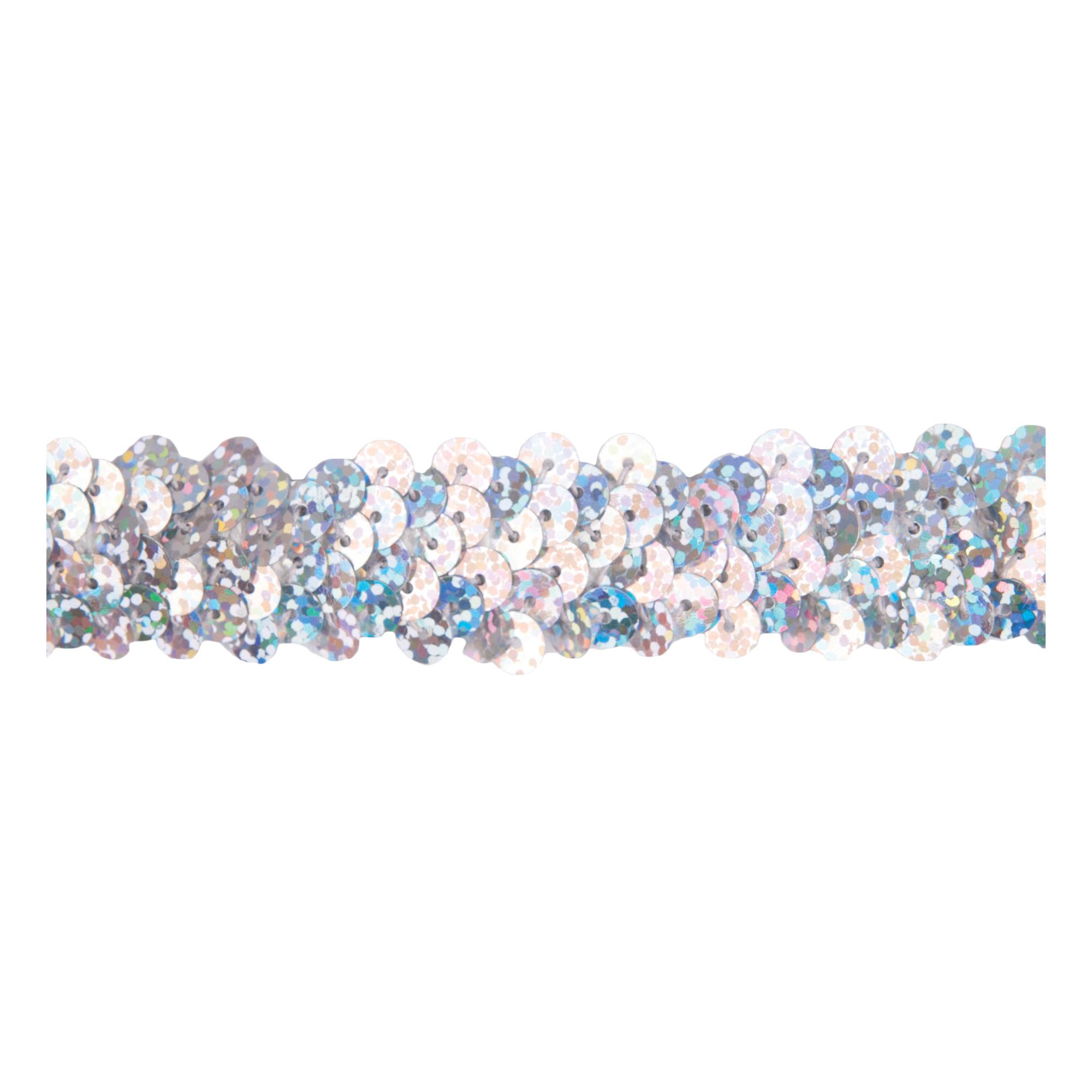Expo Int'l 20 Yards of 1 Row 3/8 inch Starlight Hologram Stretch Sequin Trim by The Yard, Silver