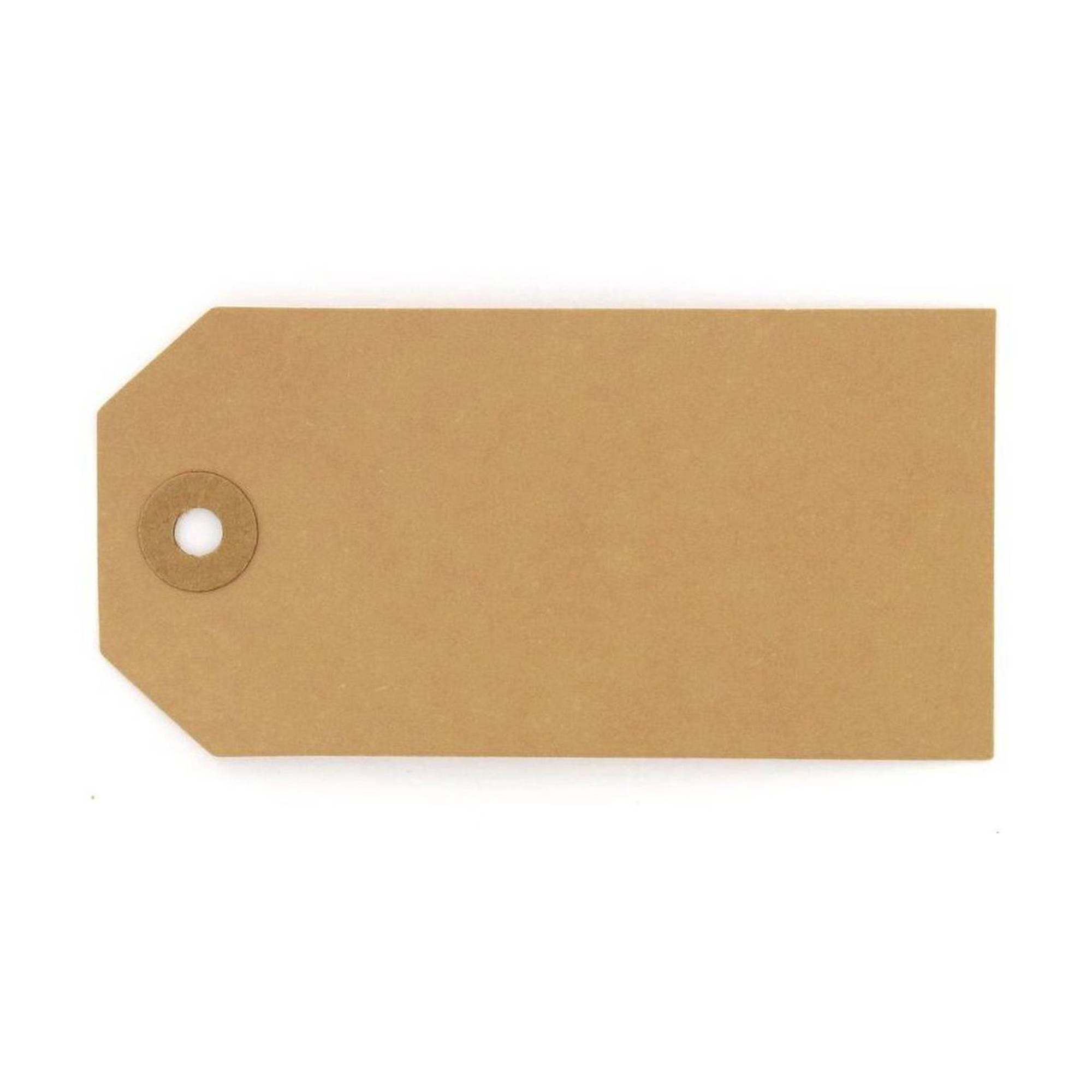  200 Pack Kraft Tags with String Attached,Large