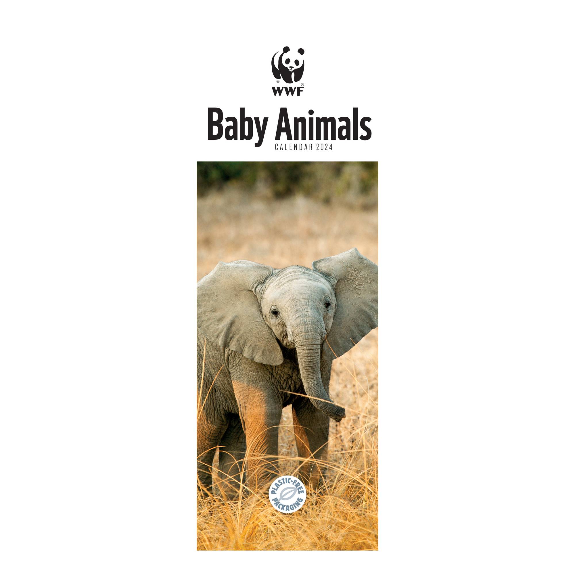 WWF Baby Animals Slim Calendar 2024 Hobbycraft