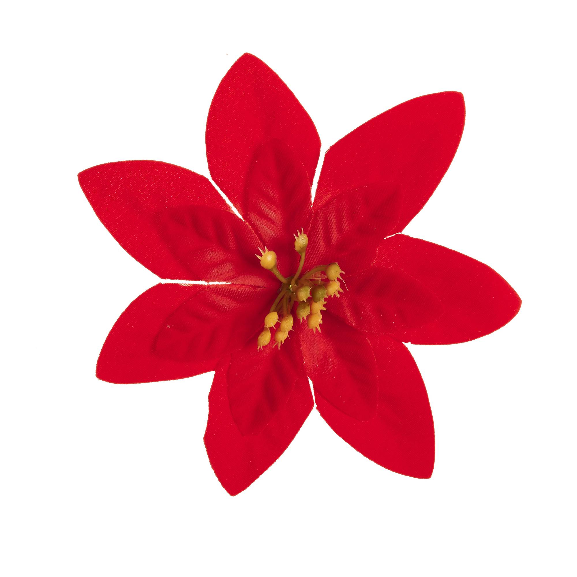 best poinsettia prices near me        
        <figure class=