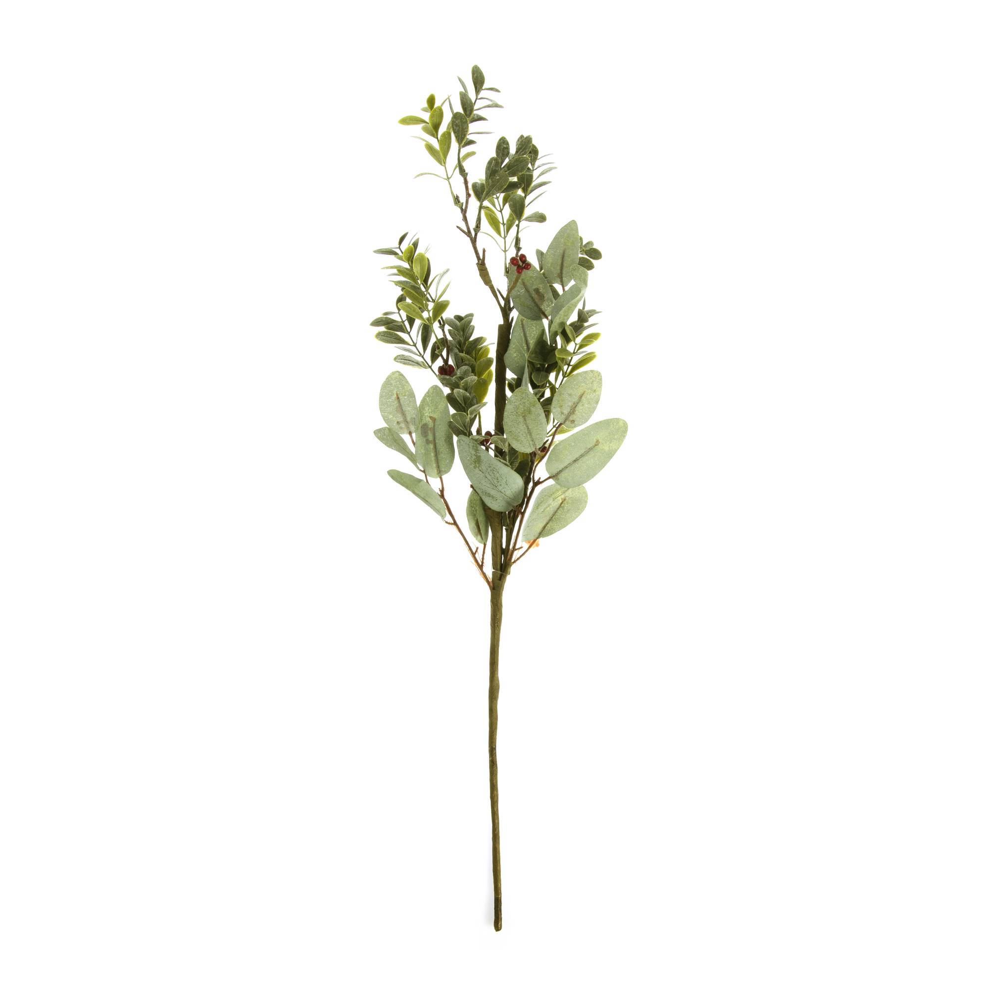 Frosty Eucalyptus Stem 60cm | Hobbycraft