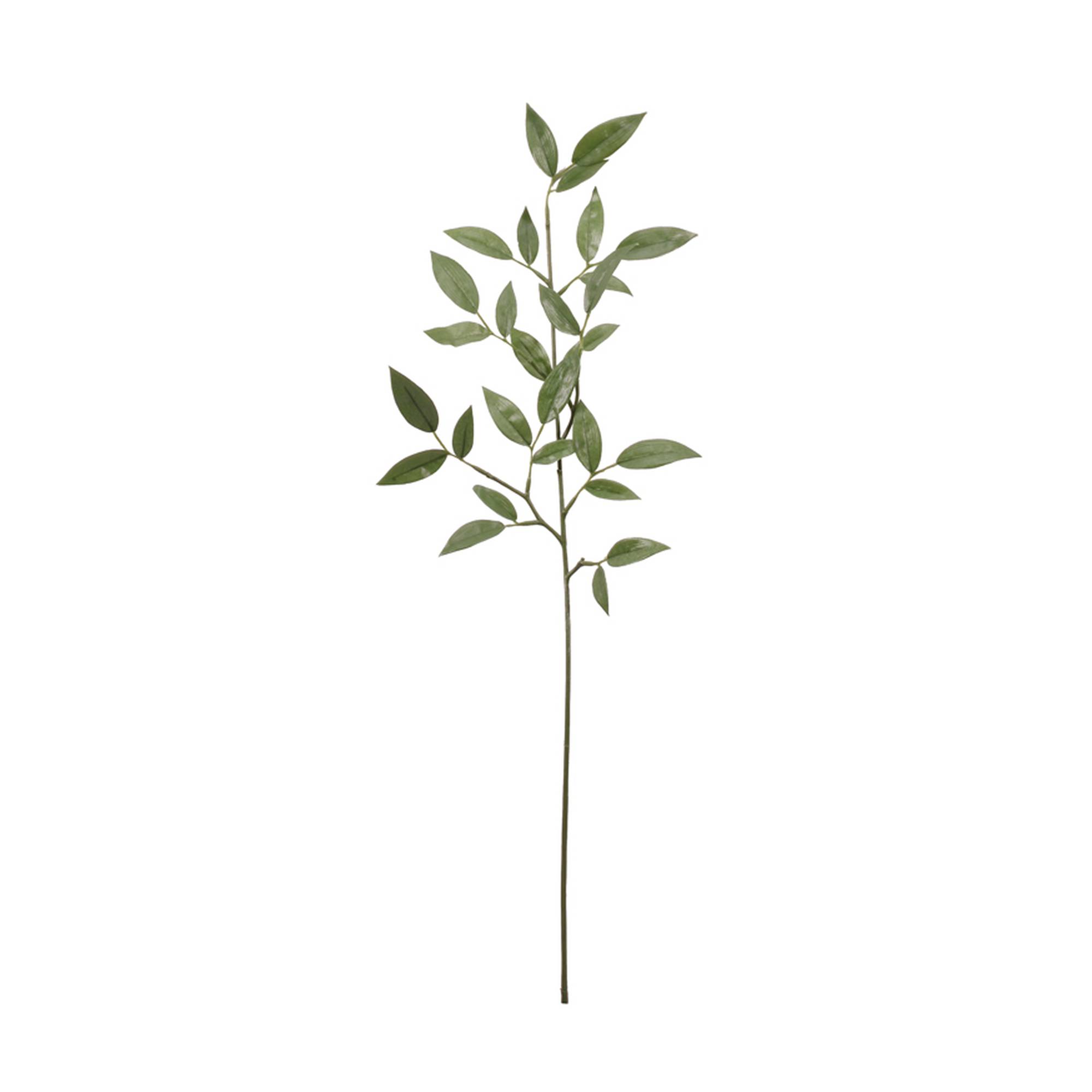 Ruscus Spray 72cm | Hobbycraft