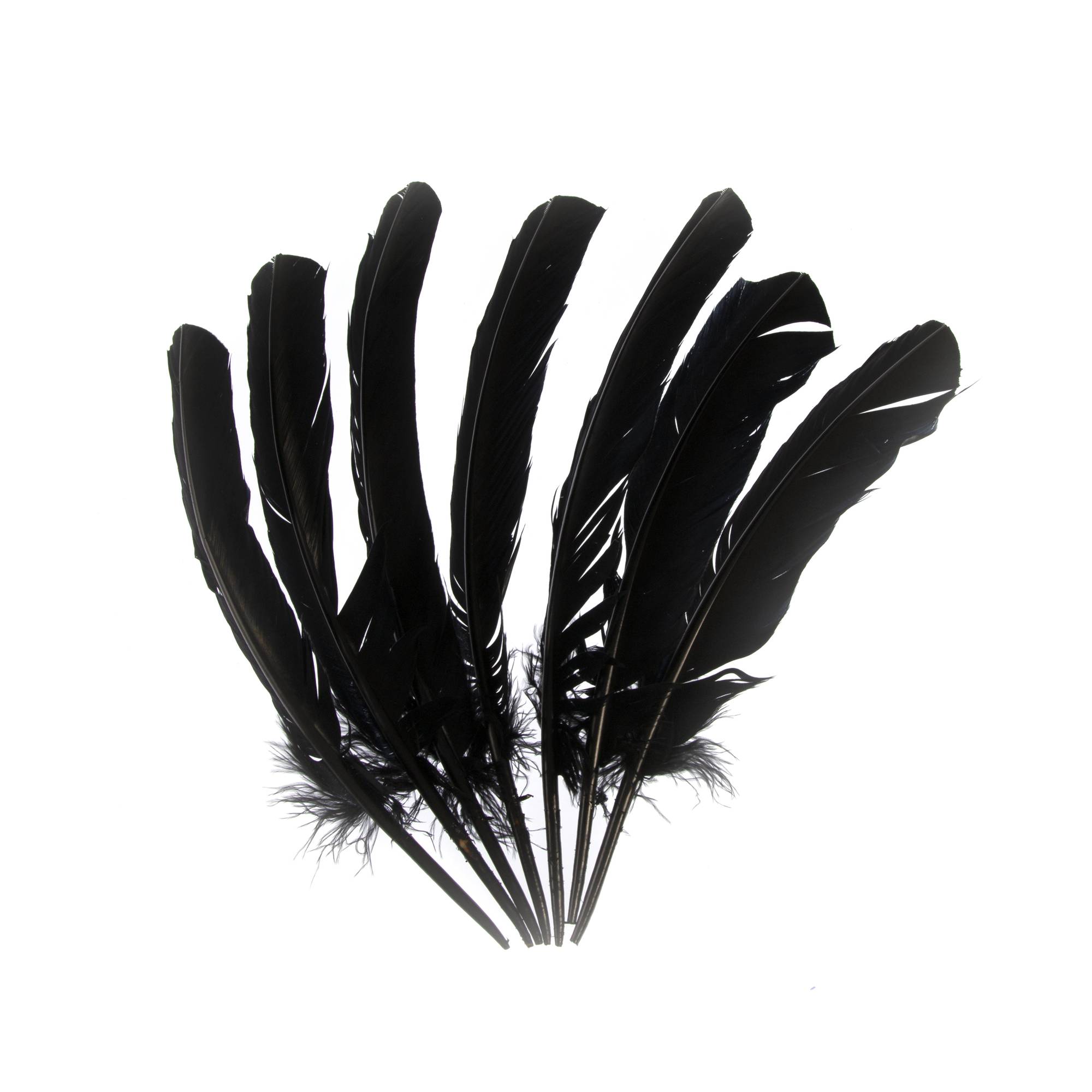 Black Feather Strip Black Craft Feathers Bulk Feathers Sewing