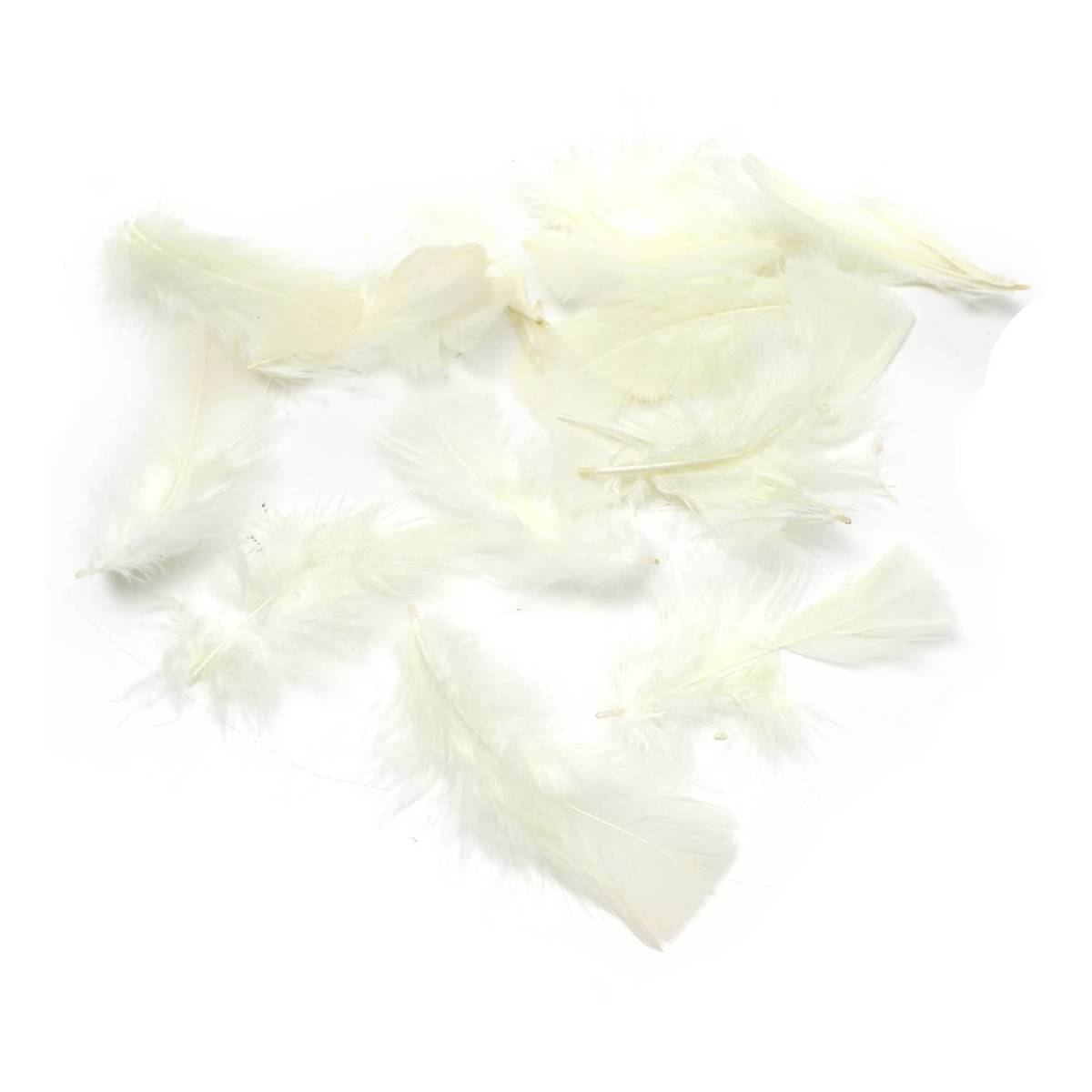 White Craft Feathers 5g